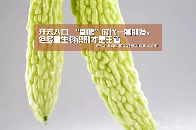 开云入口_“刷眼”时代一触即发,但多重生物识别才是王道(图1) 开云APP